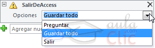 SalirDeAccess - Parámetros