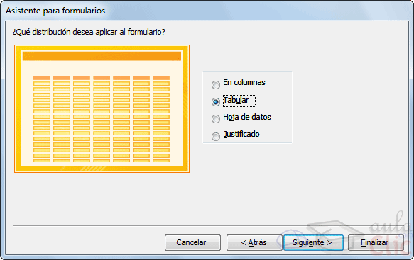 Asistente para formularios - elegir forma de distribución de los datos en la página