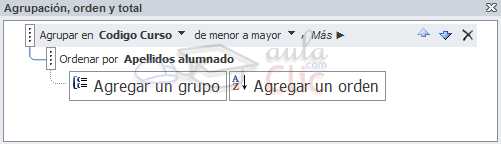 Panel Agrupación, orden y total