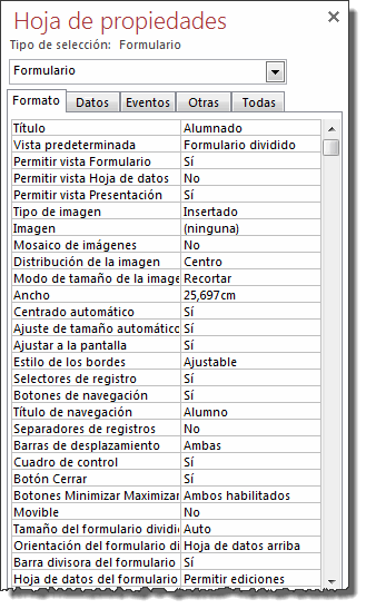 Propiedades de formulario - Pestaña formato