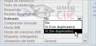 Opciones indexado - No, sí con duplicados o sí sin duplicados