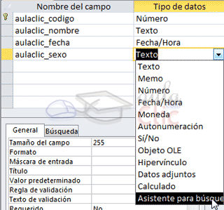 Tipo de datos > Asistente para búsqueda