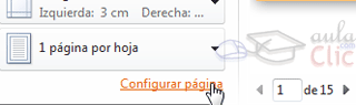 Opción Configurar página