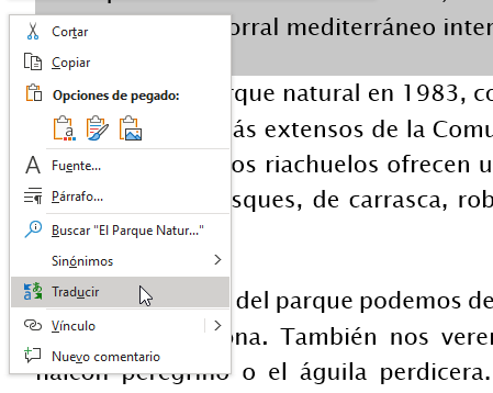 traducir en Word